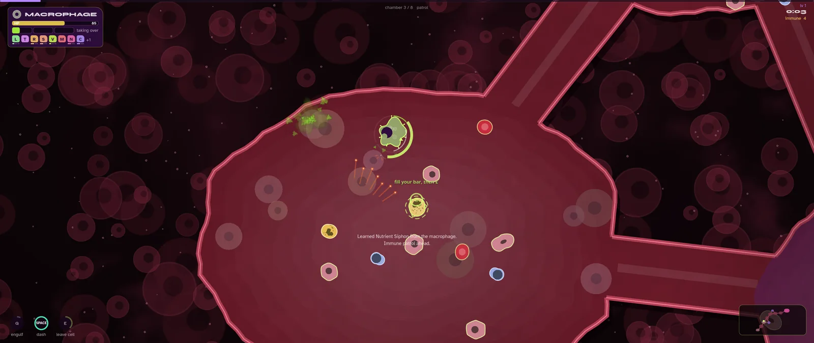 A fight in a patrol chamber: a macrophage ridden by the virus, a worn-down neutrophil glowing, shots in the air