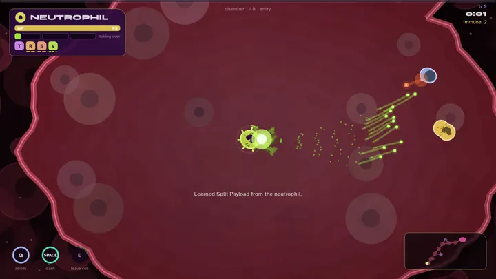 A neutrophil and its genome