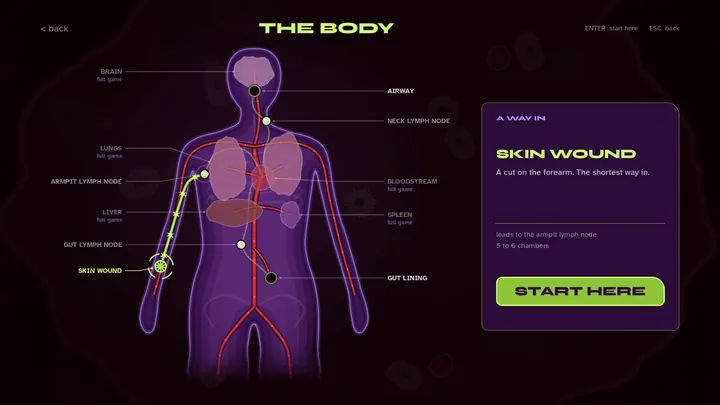 The body map